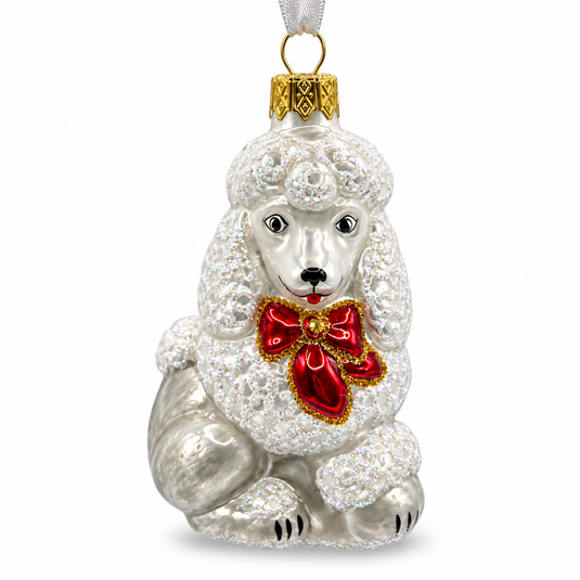 Poodle in a Bow
